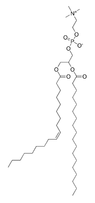 LECITHINUM