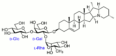 SOLANINUM