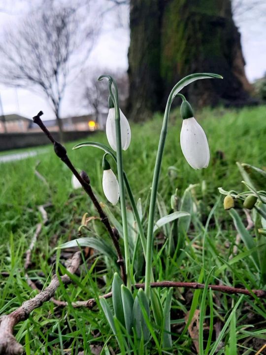 ���������� ��������� �������.