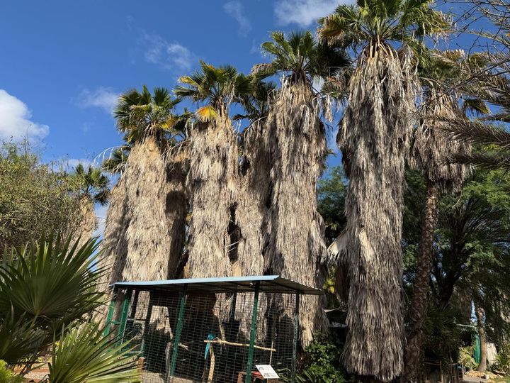 ���������� ��������� �������.