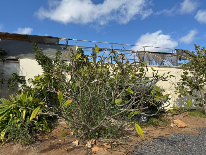 ���������� ��������� �������.