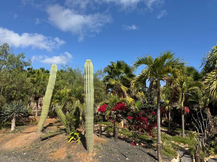 ���������� ��������� �������.