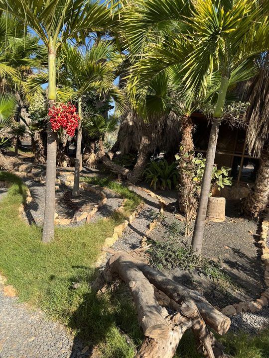 ���������� ��������� �������.