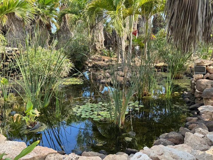 ���������� ��������� �������.