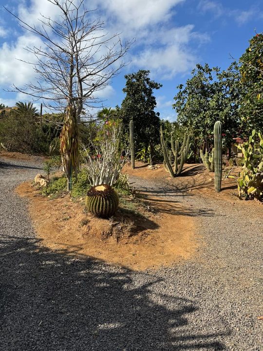 ���������� ��������� �������.