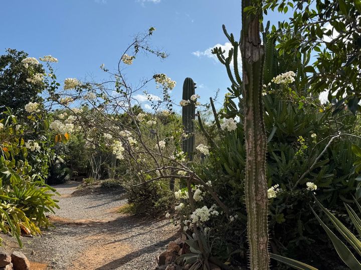 ���������� ��������� �������.