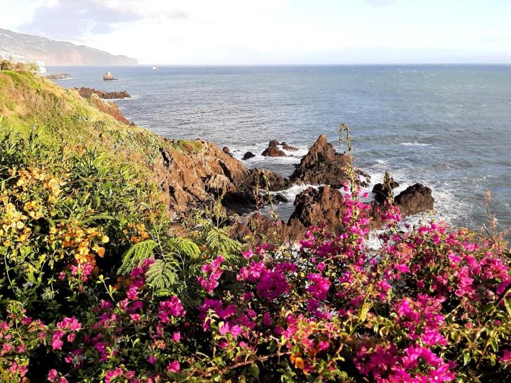 ���������� ��������� �������.