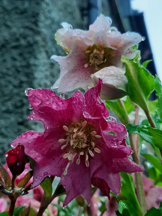 ���������� ��������� �������.