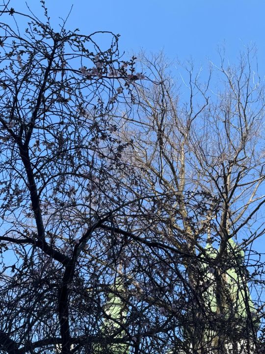 ���������� ��������� �������.