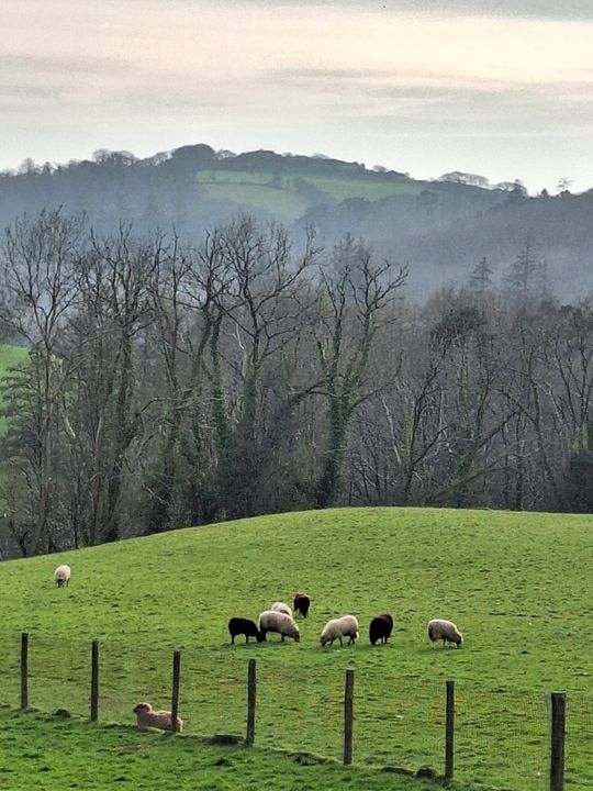 ���������� ��������� �������.